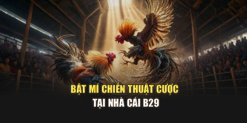 Bật mí chiến thuật cược tại nhà cái B29