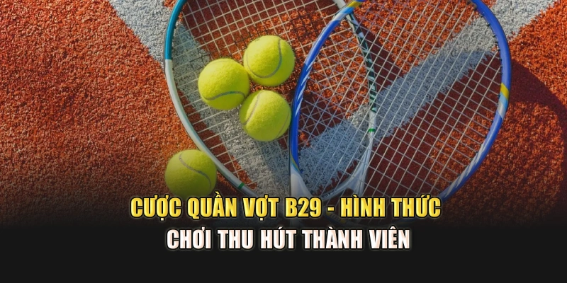 Cược Quần Vợt B29 - Hình Thức Chơi Thu Hút Thành Viên