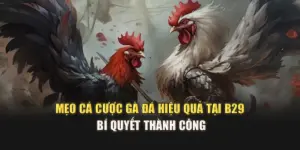 Mẹo Cá Cược Gà Đá Hiệu Quả Tại B29 – Bí Quyết Thành Công